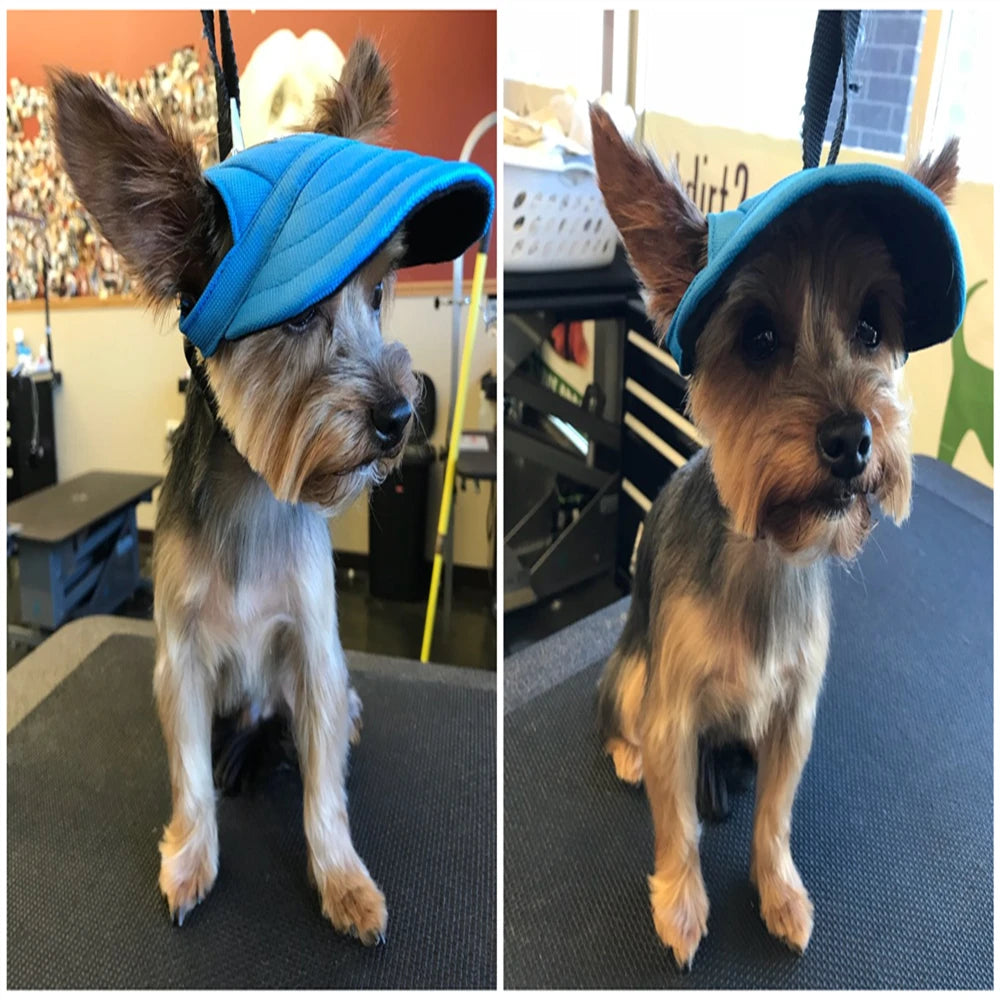 Cute Dog Baseball Hat Canvas Cap Adjustable With Ear Holes For Small Pet Dog Cats Outdoor Accessories Outdoor Pet Products 7D35 - JM Shop Line