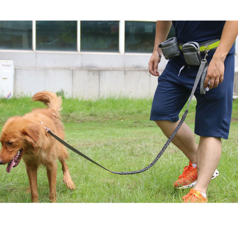 Adjustable Hands Free Dog Leash - JM Shop Line