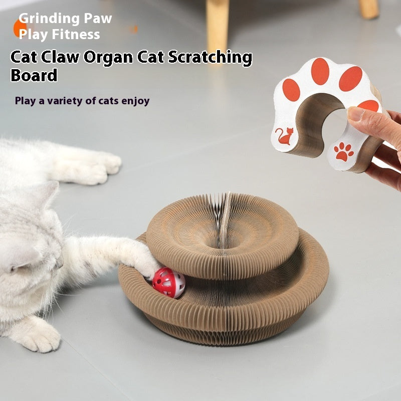 Organ Cat Scratch Board Strong Magnetic Foldable Self-Hi Toy - JM Shop Line