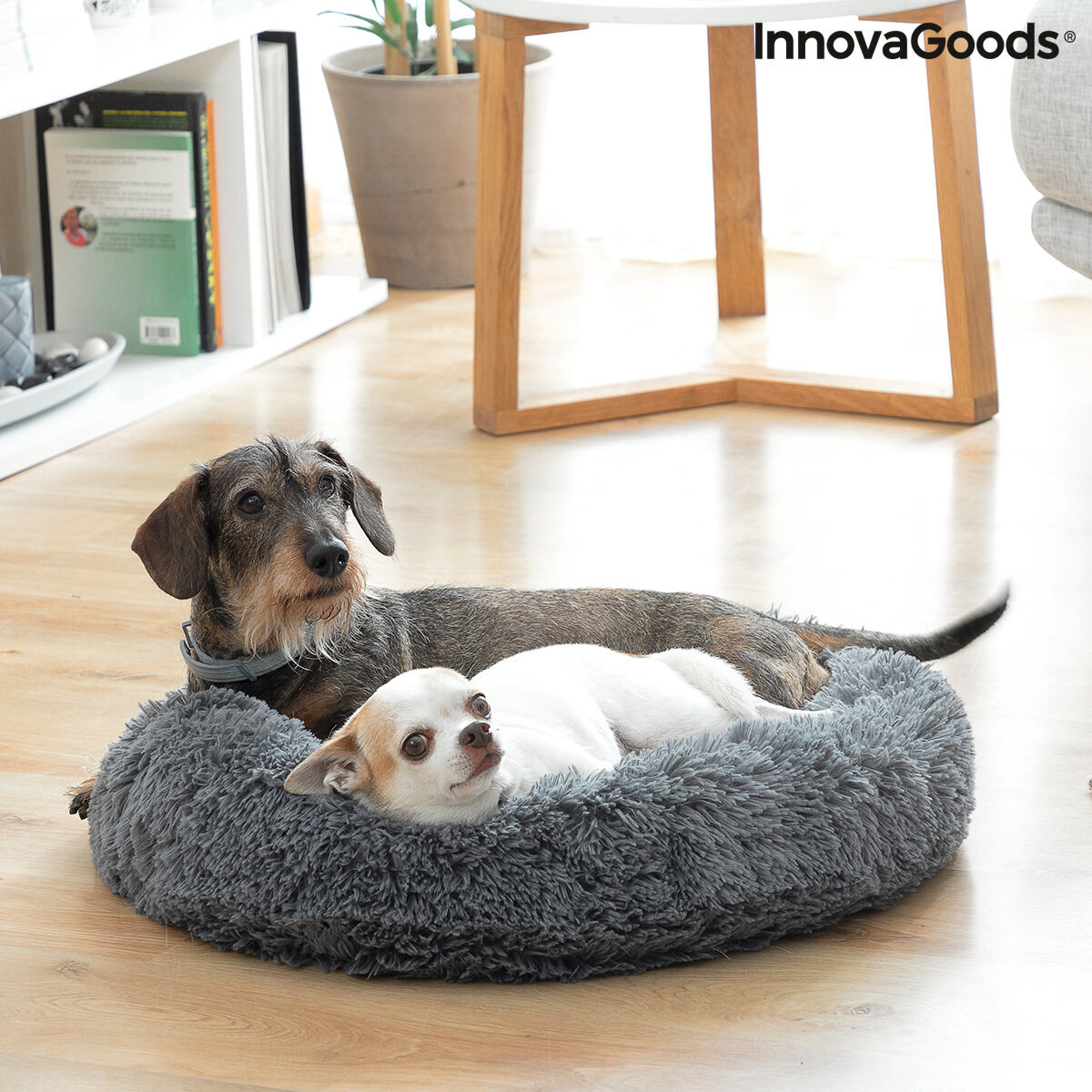 Anti-stress Pet Bepess InnovaGoods Ø 60 cm