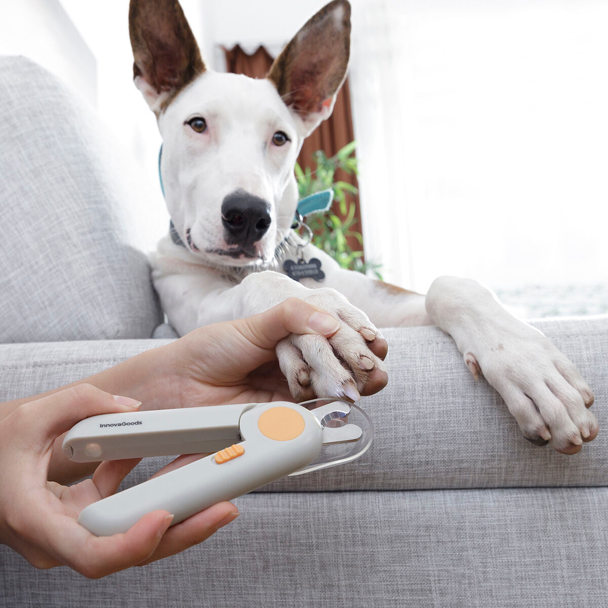 Pet Nail Clippers with LED Clipet InnovaGoods